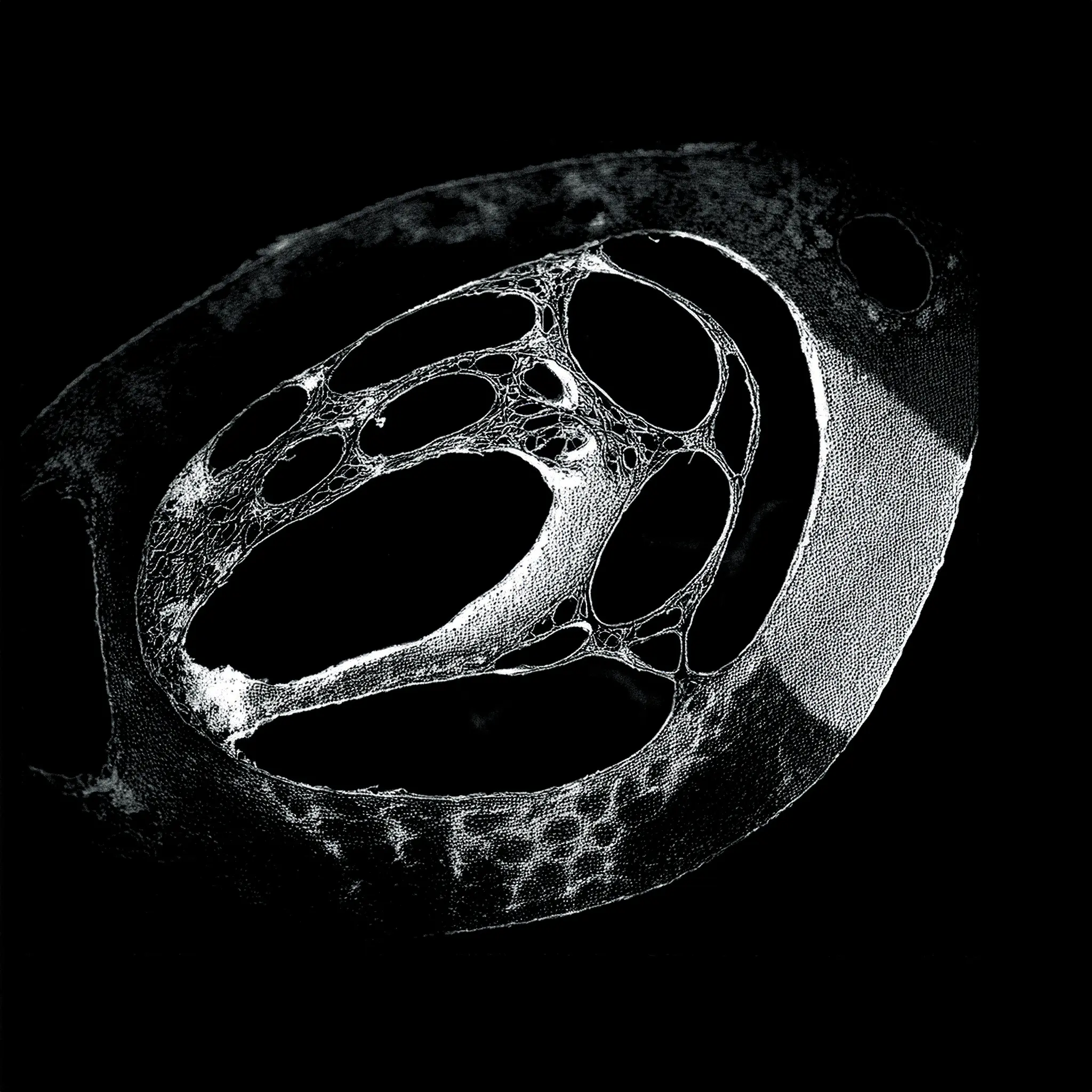 artefactstyle2